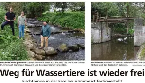 Aktuelles aus dem dsp Ingenieurbüro für Bauwesen