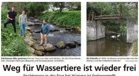 Publikation