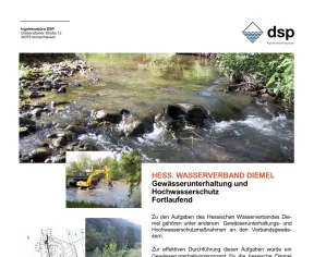Leistung DSP Ingenieurb&uuml;ro f&uuml;r Bauwesen