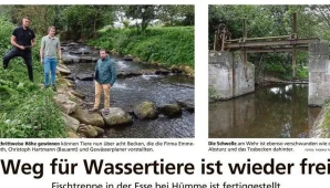 Aktuelles aus dem dsp Ingenieurb&uuml;ro f&uuml;r Bauwesen